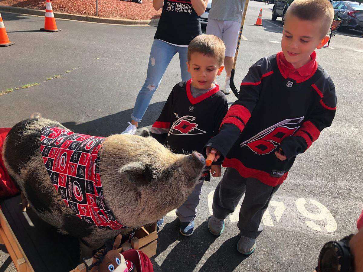Brothers Bryce (left), 4, and Landon, 7, of Cary feed a carrot to Hamilton the Pig before Game 3 of the Eastern Conference Finals game against the Boston Bruins in Raleigh, May 14, 2019.
