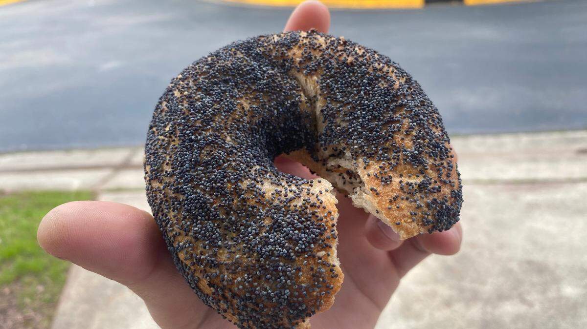 Isaac’s Bagels in Durham sells seven flavors of bagels and six types of cream cheese.