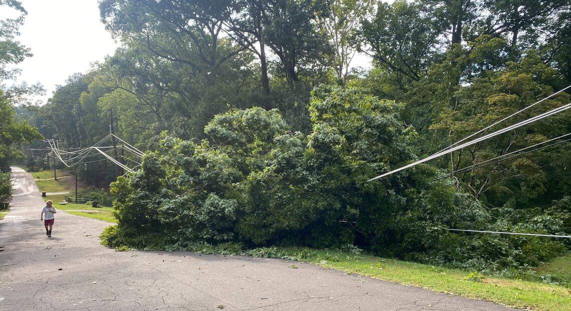 A tree fell on the power lines on Alpine Road in Durham, N.C., after a powerful storm blew through Tuesday, August 15, 2023.