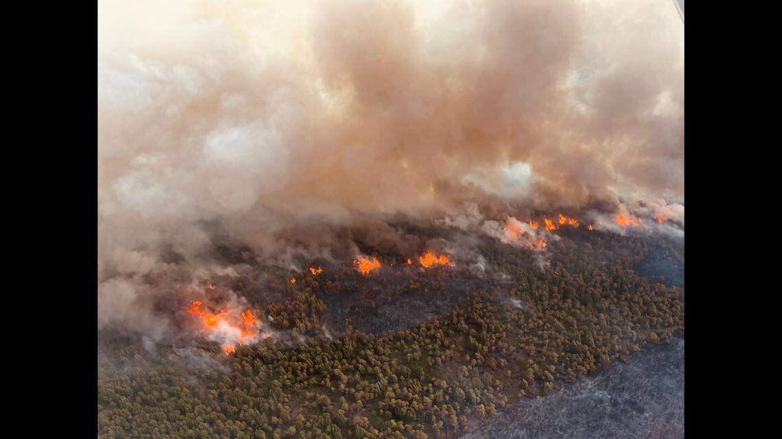 It’s estimated “the Last Resort Fire” in Tyrrell County covers 5,384 acres, up from 5,200 acres earlier in the week, the state reported in a news release. The fire is 48% contained.