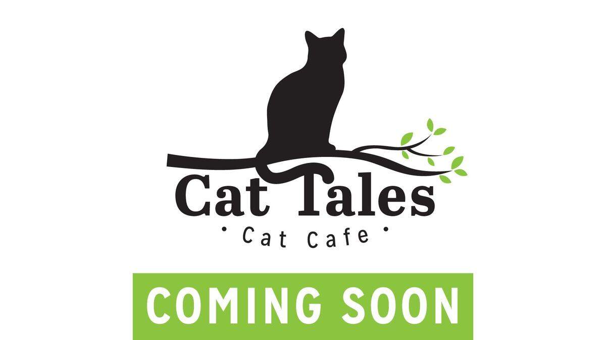 Cat Tales Cat Cafe plans to open this fall at 431 W. Franklin St., Suite 210 in Chapel Hill.