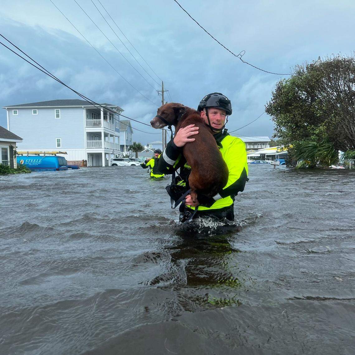 A Wilmington Fire Dept. first responder rescues a dog from floodwaters after heavy rains inundated Carolina Beach and Kure Beach, Monday, Sept. 16, 2024.