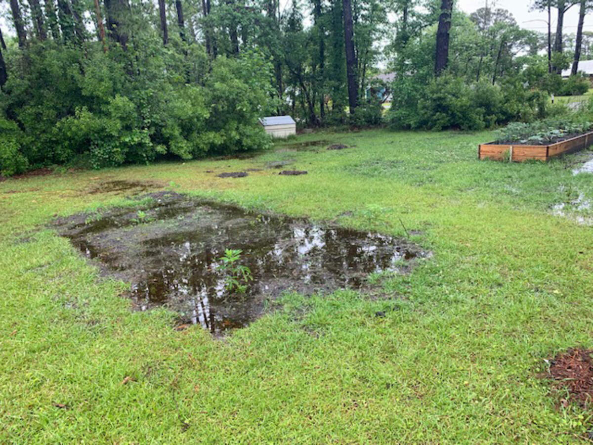 Anne Kepplinger shares a photo of her soggy garden in Beaufort after rains from tropical storm Arthur on May 20, 2020.