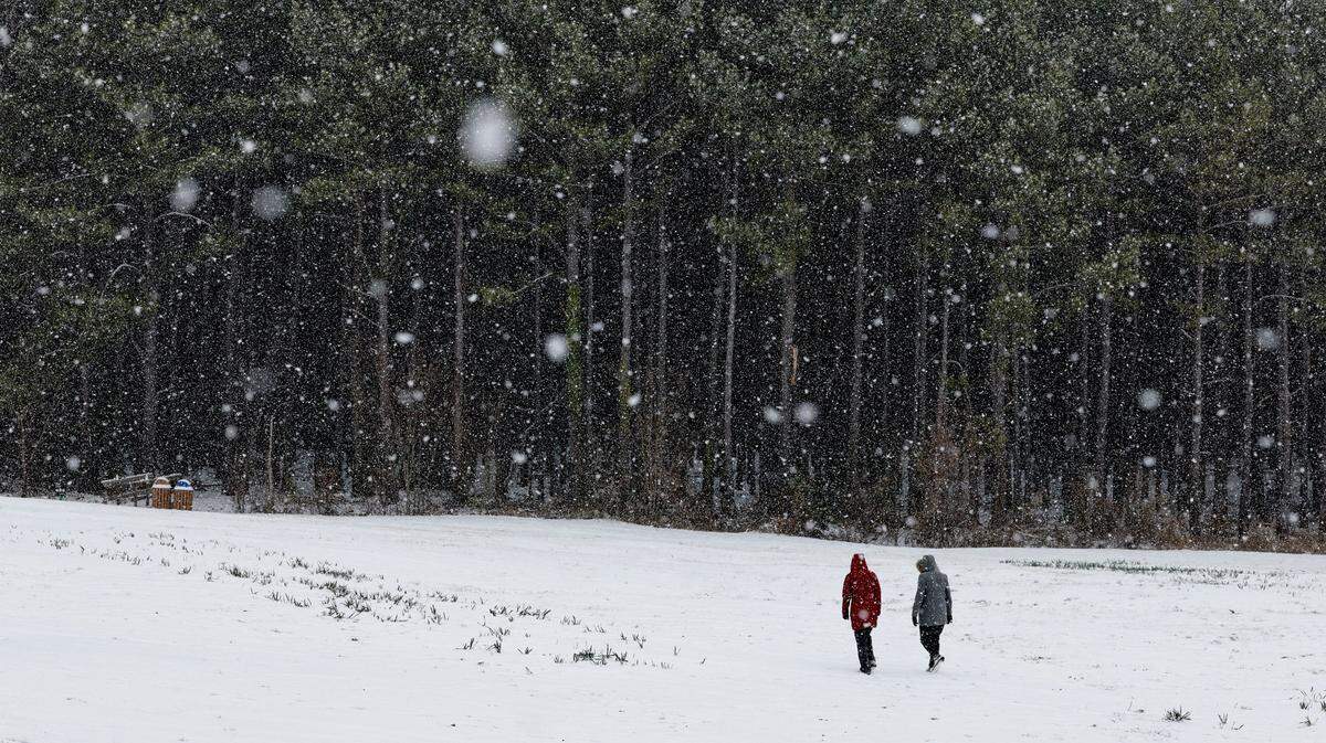 People enjoy Dix Park as snow falls in Raleigh, N.C., Thursday, Feb. 20, 2025.