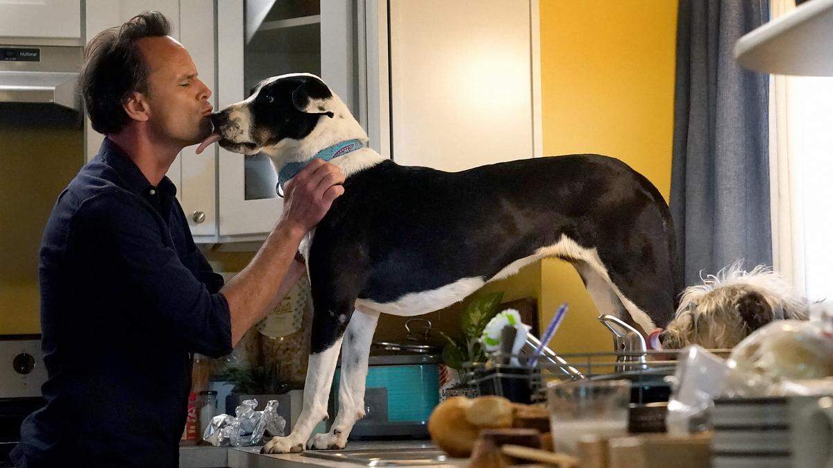 A tight-knit group of friends and family helps a widower move on following the most difficult year of his life in CBS’ ”The Unicorn.” It was based on a Raleigh family’s life.