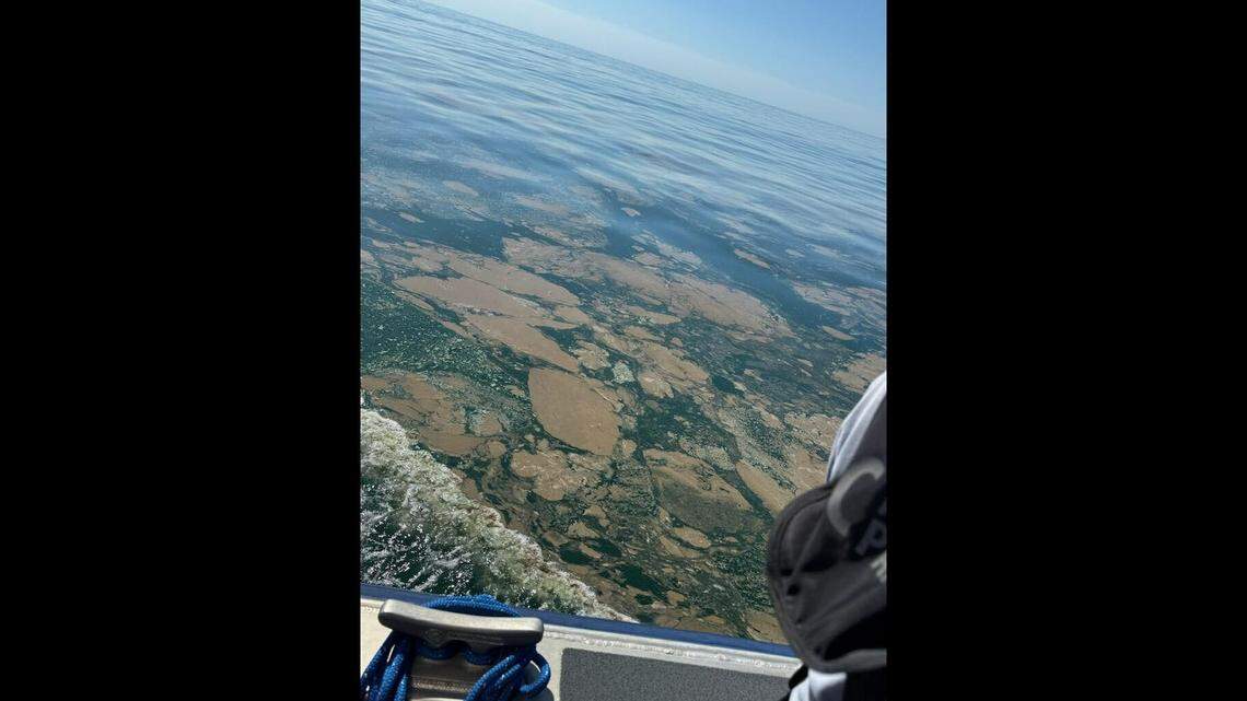 The ocean may be toxic off NC beach town, officials say. What’s behind warning?