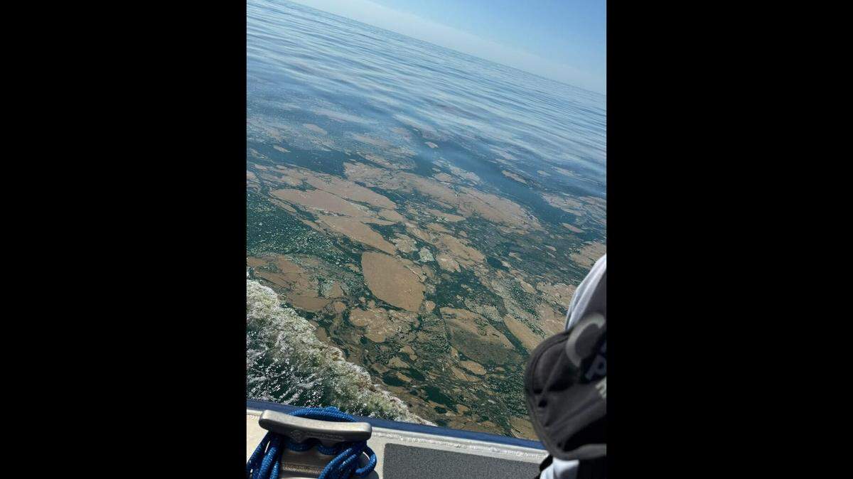 Atlantic Beach on the state’s Crystal Coast issued a swim advisory Thursday, Sept. 4, after an investigation revealed the substance is made up of microscopic creatures known as called Trichodesmium.