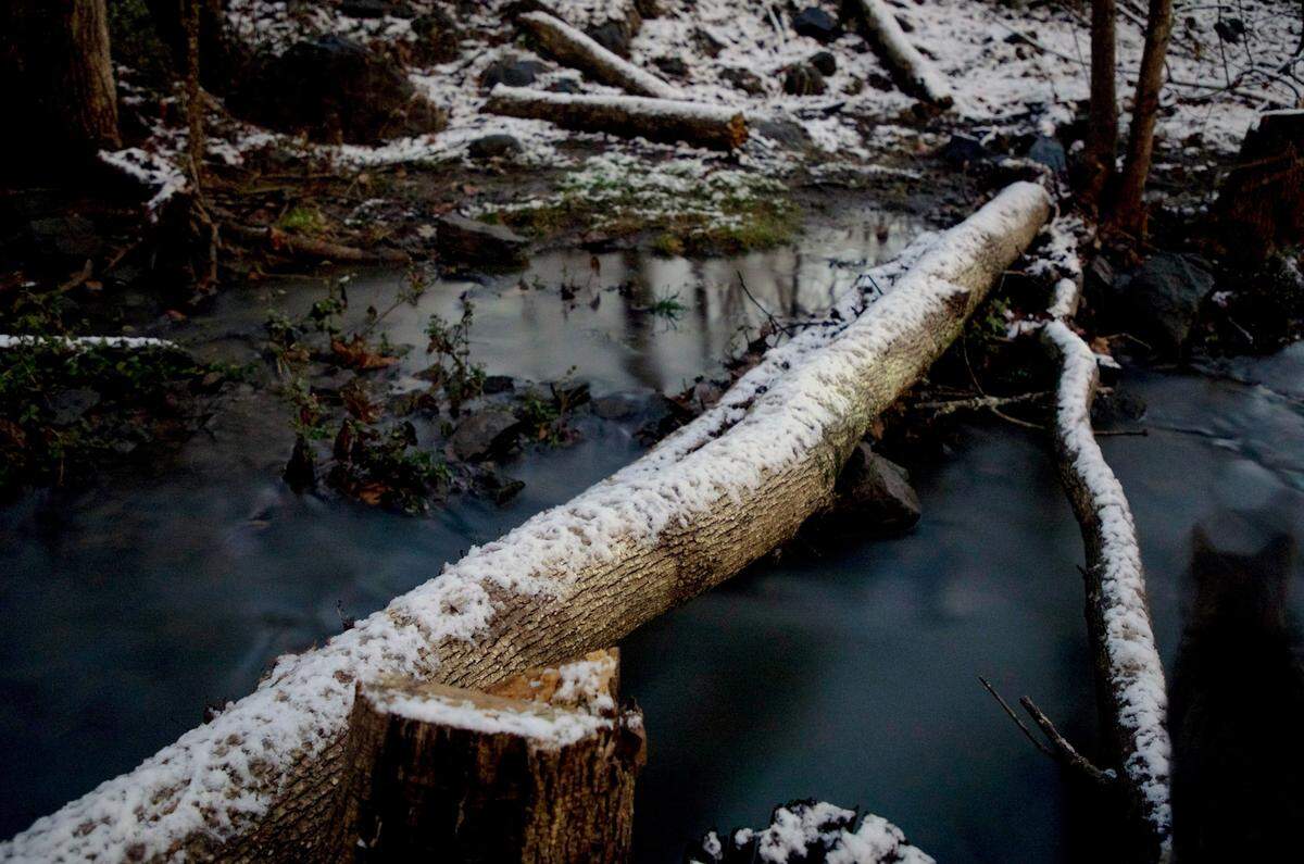 Snow covers logs across a creek early Thursday morning, Jan. 28, 2021, in Durham, N.C. 