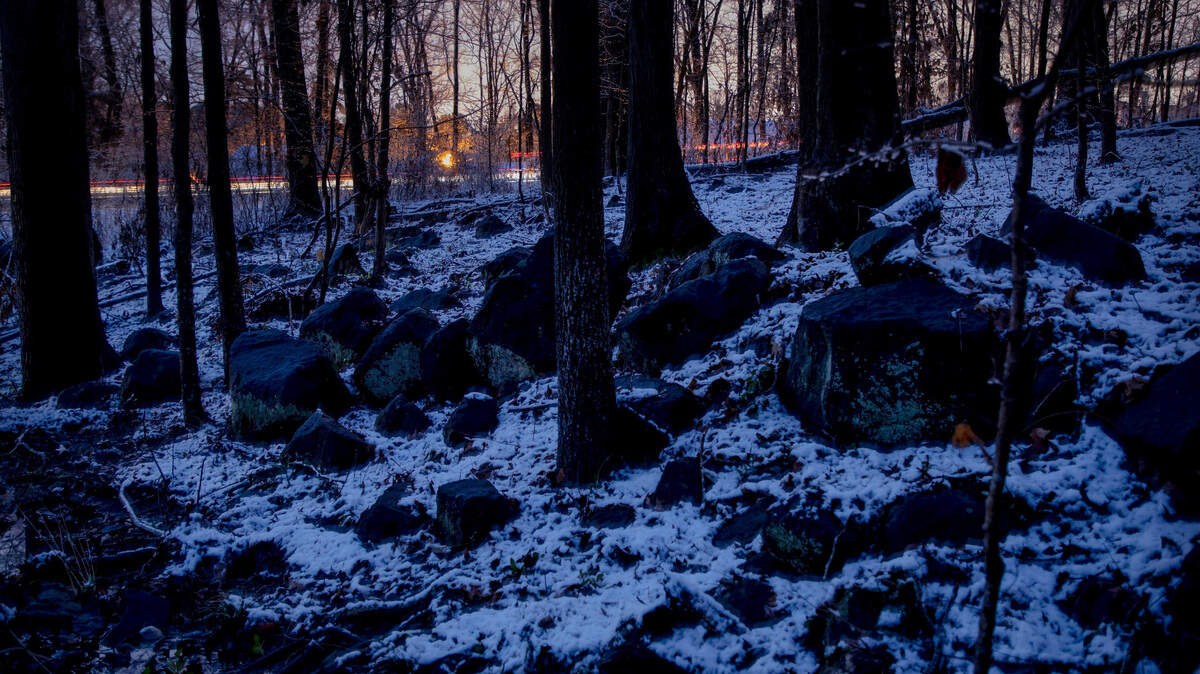 Snow covers rocks along a creek early Thursday morning, Jan. 28, 2021, in Durham, N.C.