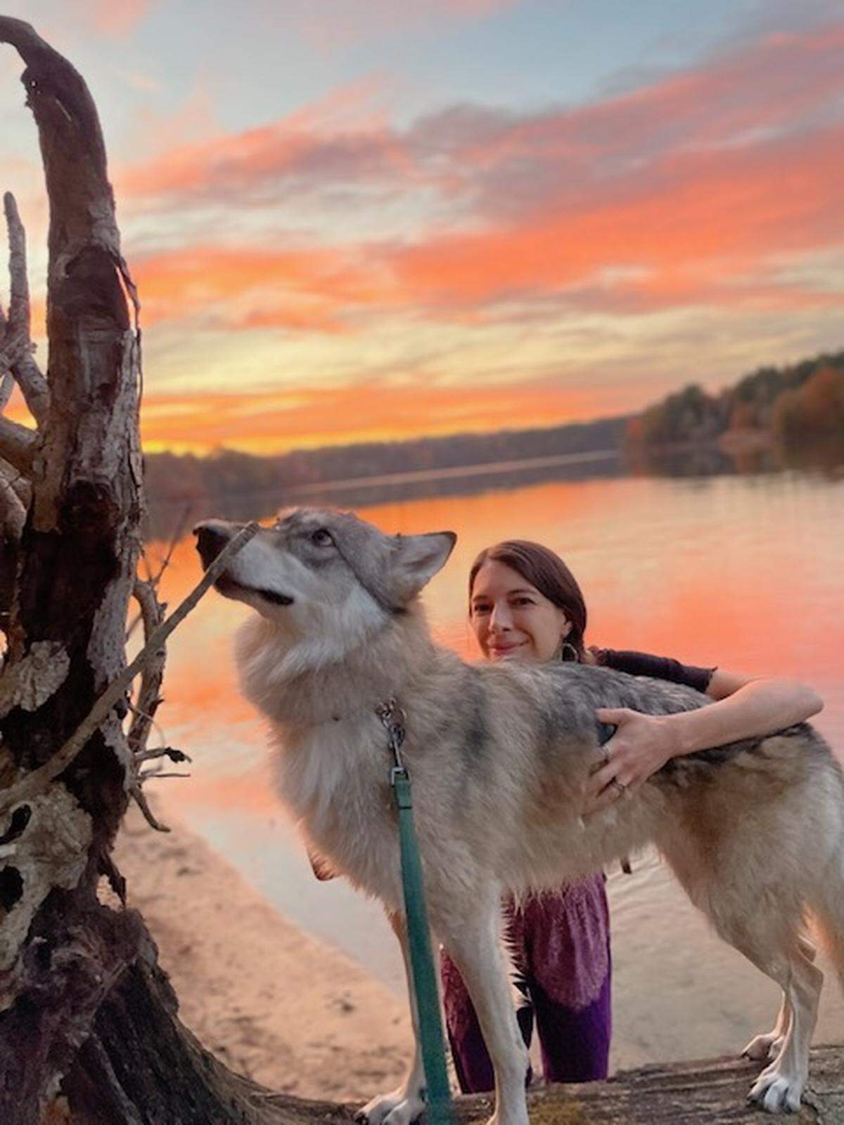 Lindsay Winthrop and Ahsoka, a wolf-dog hybrid, at Falls Lake. Winthrop is worried about the city’s new rules to regulate wild animals.