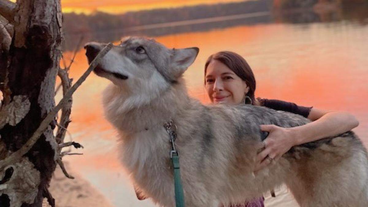 Lindsay Winthrop and Ahsoka, a wolf-dog hybrid, at Falls Lake. Winthrop is worried about the city’s new rules to regulate wild animals.