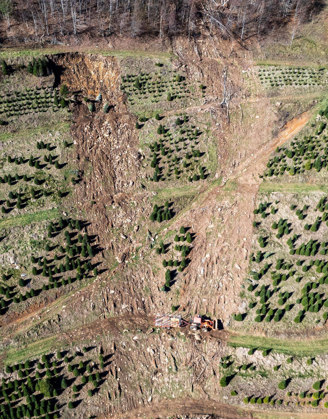 David Pittman drives a tractor across a damaged section of his Christmas tree farm on the opening day of the season, Saturday, Nov. 16, 2024. His farm is recovering from landslides and flooding caused by the remnants of Hurricane Helene.