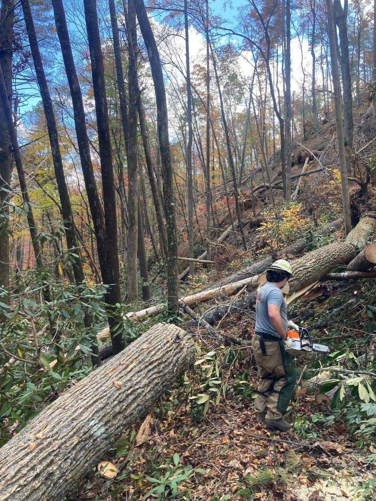 Andrew Slack of the N.C. Division of Parks and Recreation works to clear a section of the Shinny Trail in South Mountains State Park on Oct. 30, 2024, a month after the remnants of Hurricane Helene knocked down countless trees in the park.