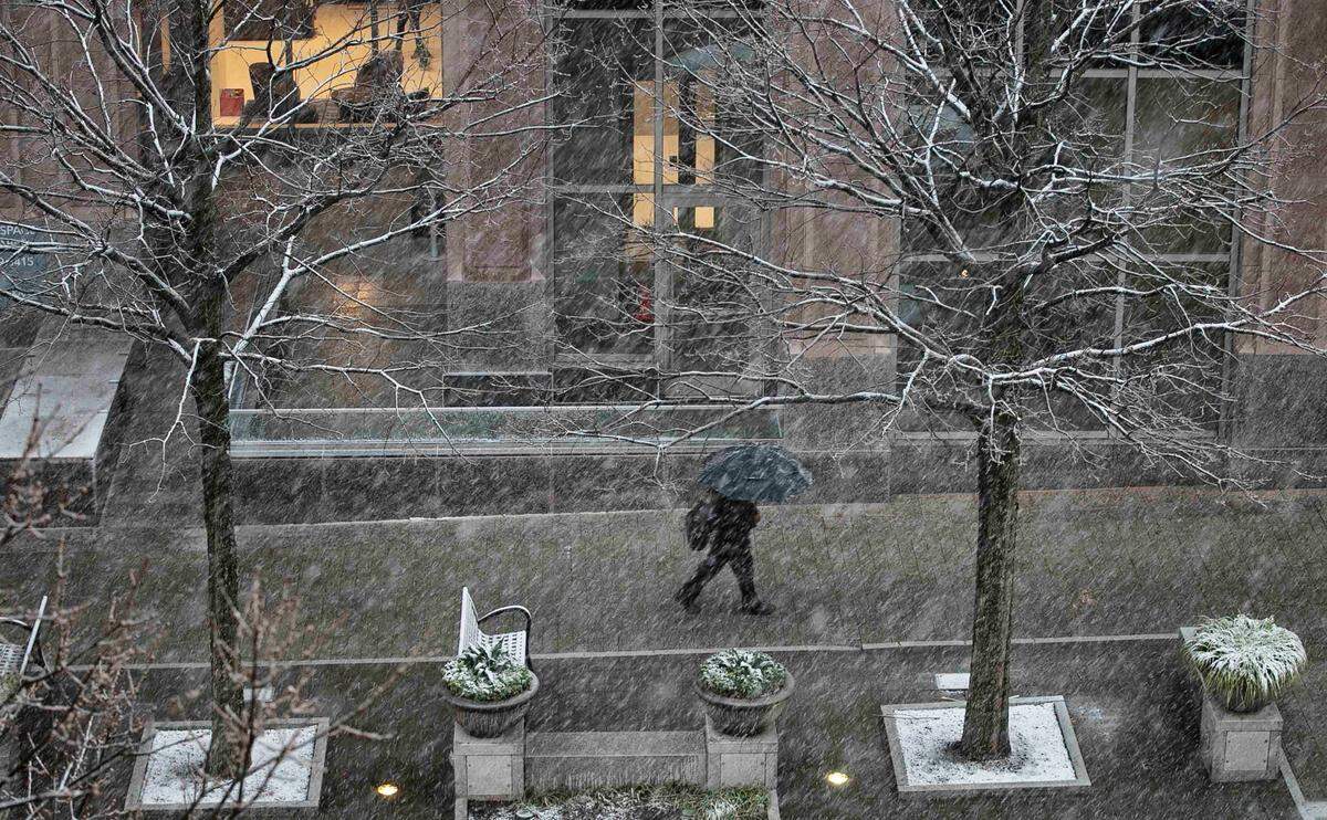 Snow begins to stick to trees along Fayetteville Street in front of the Wells Fargo Building as people make their way home from work on Thursday, February 20, 2020 in Raleigh, N.C.