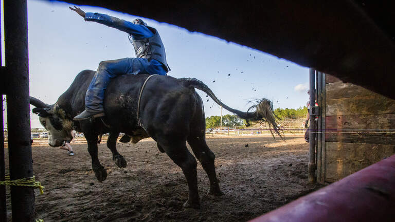 Bull riding at NC rodeo provides a ‘safe place’ to belong. Photos tell the story