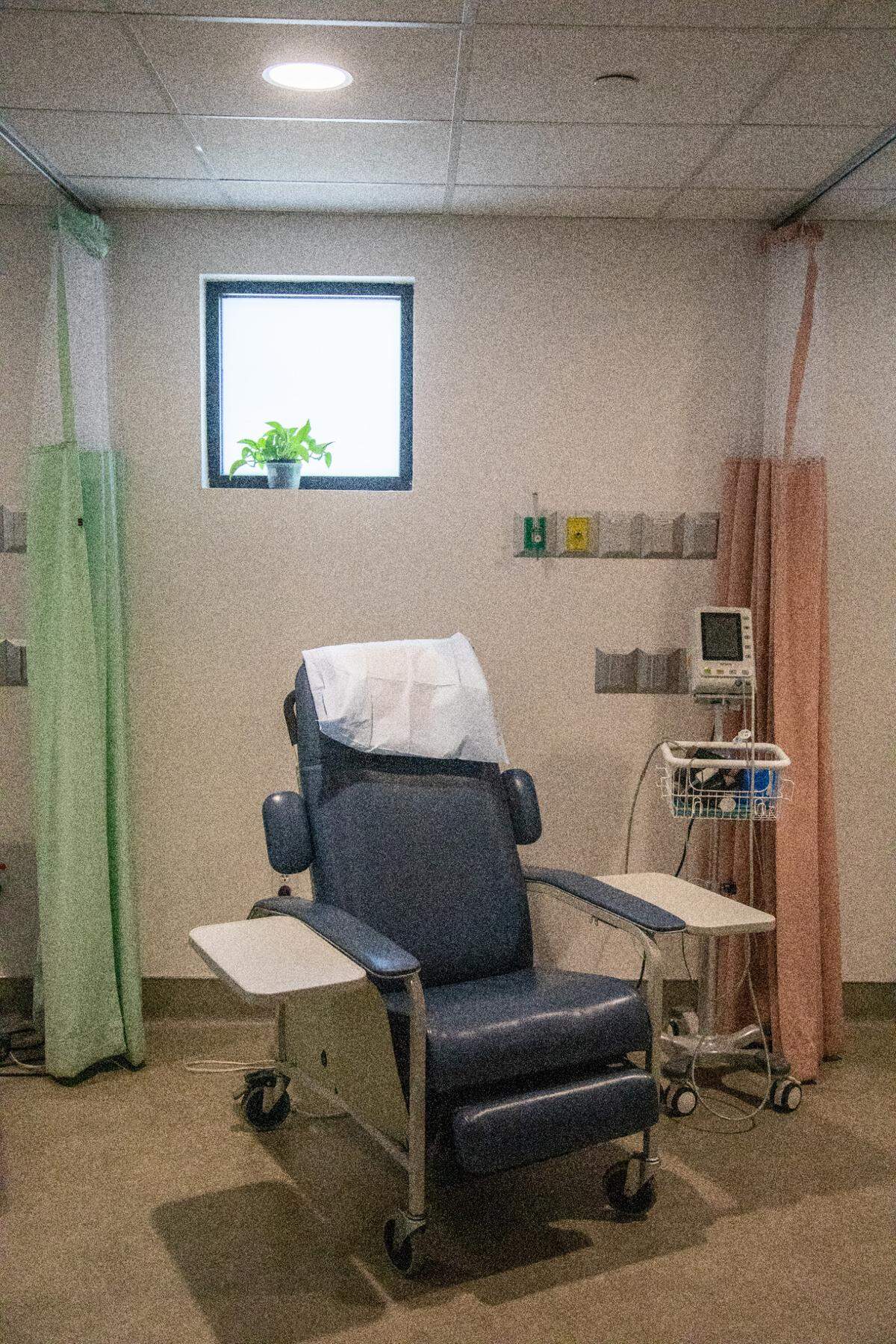 A view from the recovery room at Planned Parenthood South Atlantic’s Chapel Hill location.