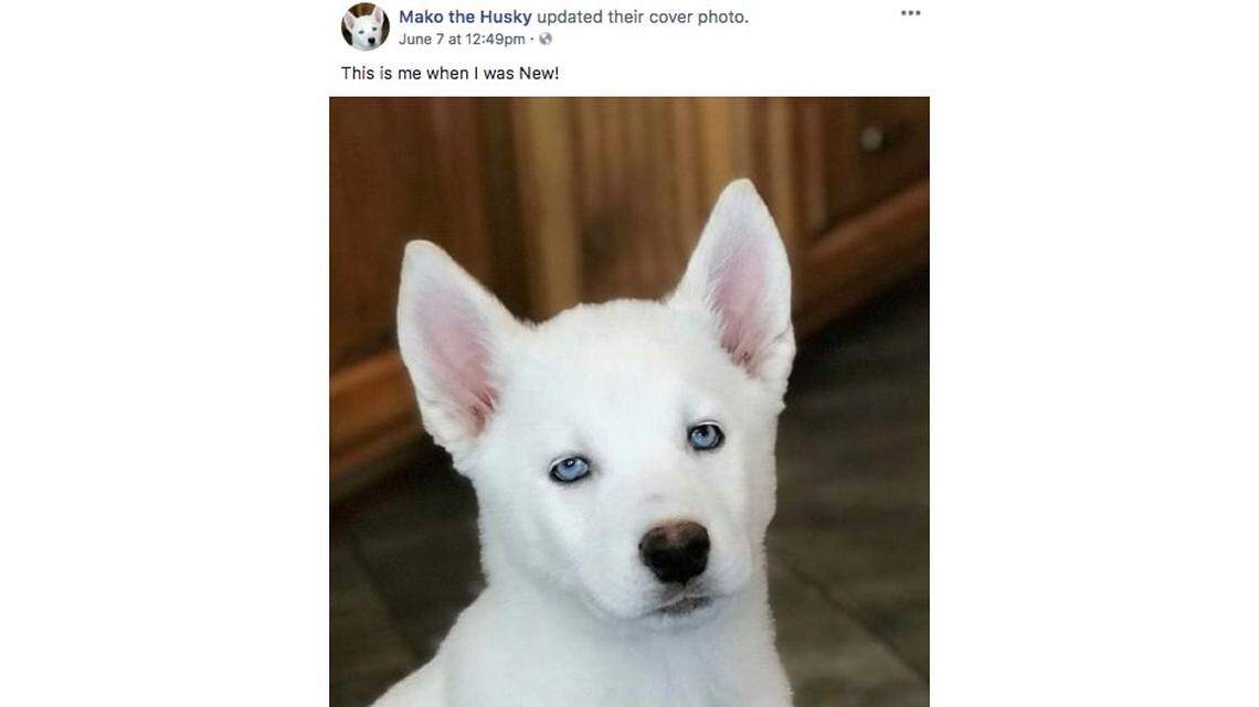 Facebook screenshot.