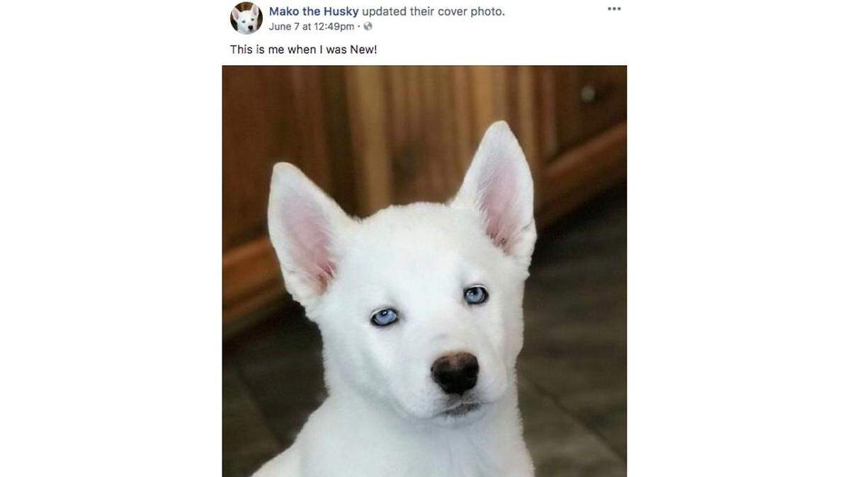 Facebook screenshot.