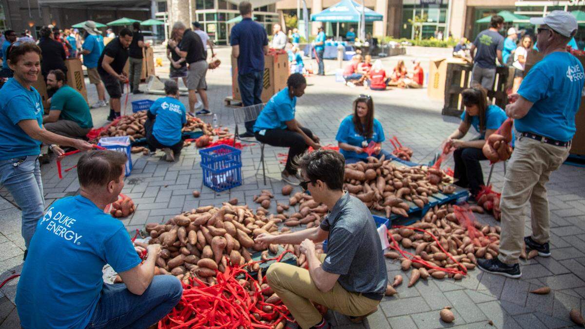 Volunteers bag sweet potatoes during the “Yam Jam” organized by Duke Energy in partnership with the Food Bank of Central & Eastern North Carolina and the Downtown Raleigh Alliance Wednesday, May 10, 2023 at City Plaza in downtown Raleigh.