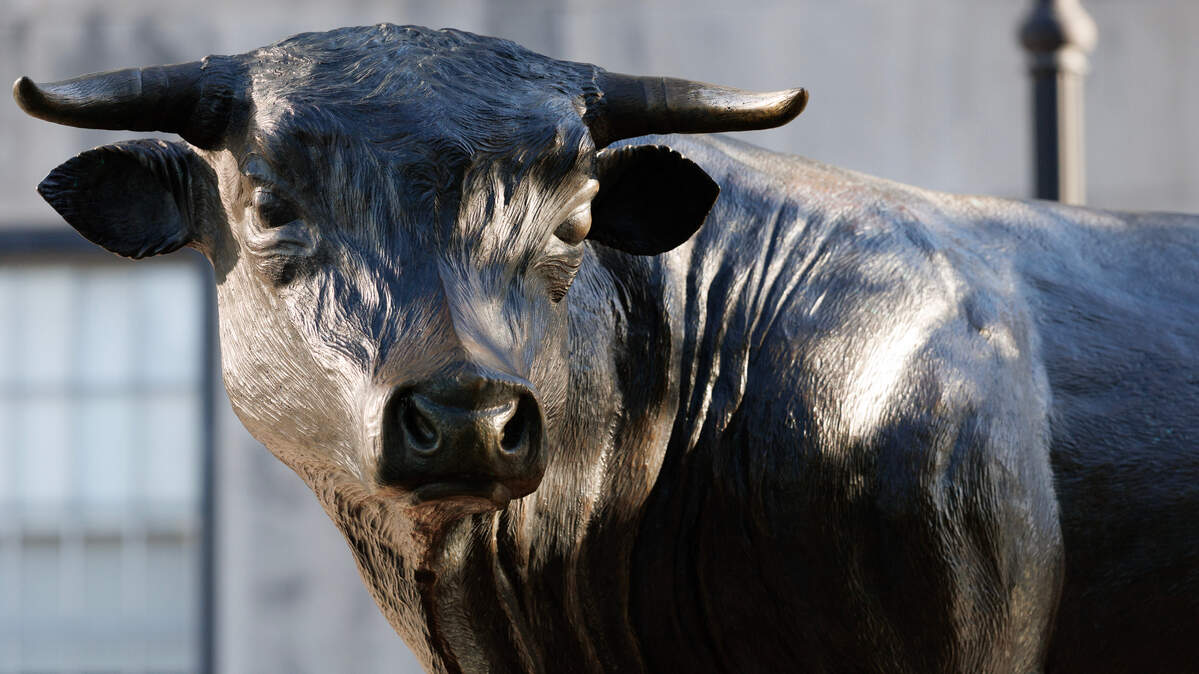 Durham’s Major the Bull sculpture is pictured on Wednesday, April 16, 2025.