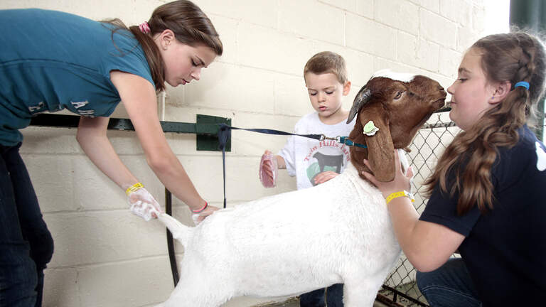 How NC has made it easier to miss school for agricultural and religious reasons