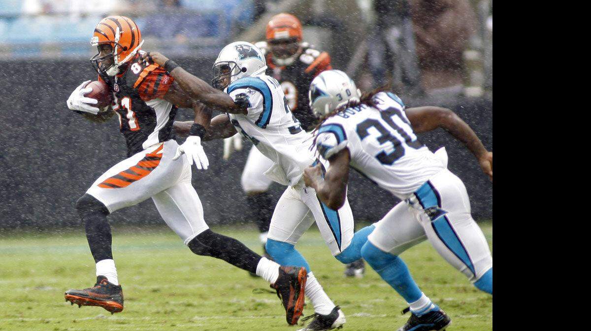 Bengals Panthers Football
