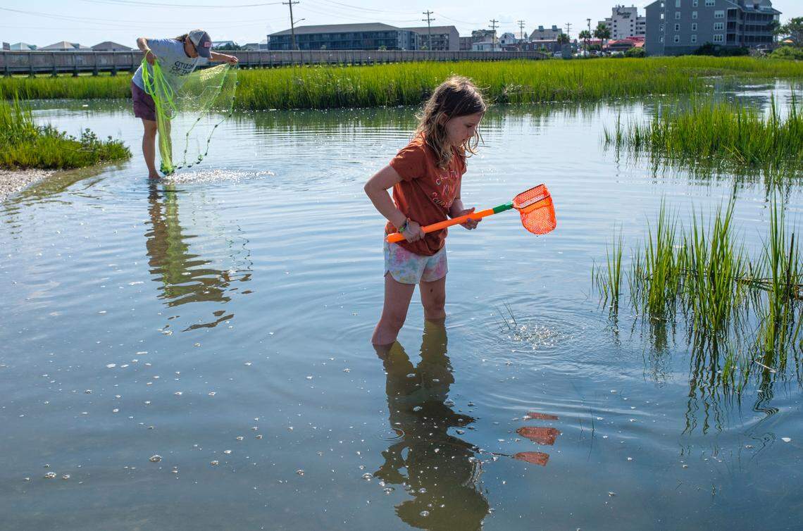 Murrells Inlet resident Julie Duncan along with her 6-year-old daughter Charlie Duncan, search for bait during high tide in Murrells Inlet, S.C. Aug. 11, 2021.