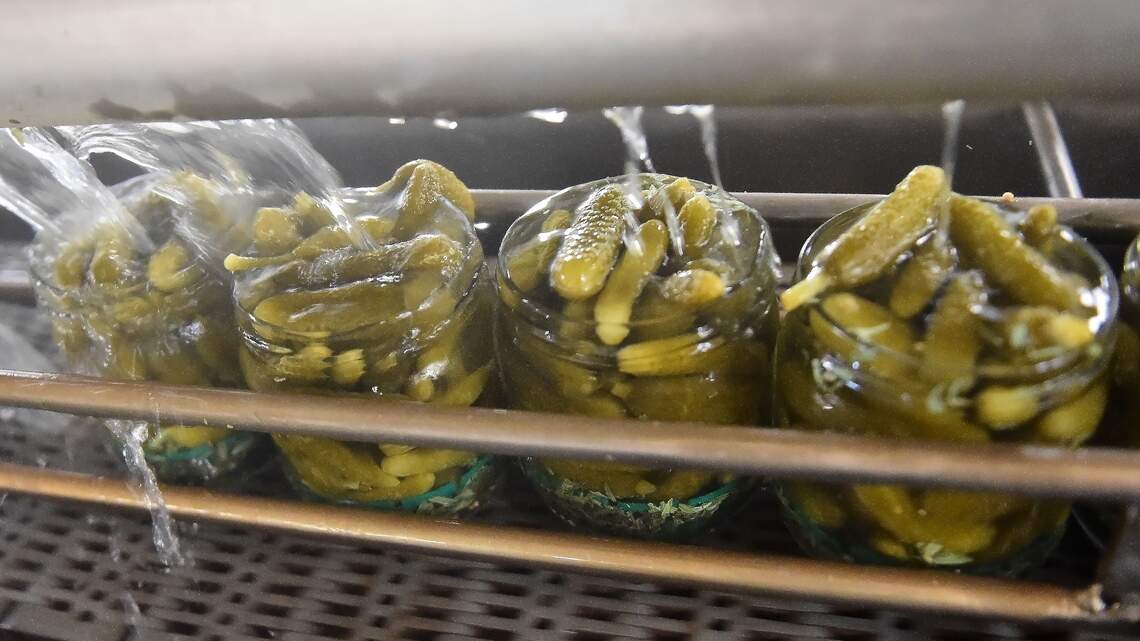 Pickles and Gut Health: Are Fermented Pickles Actually Good for You? What Experts Say