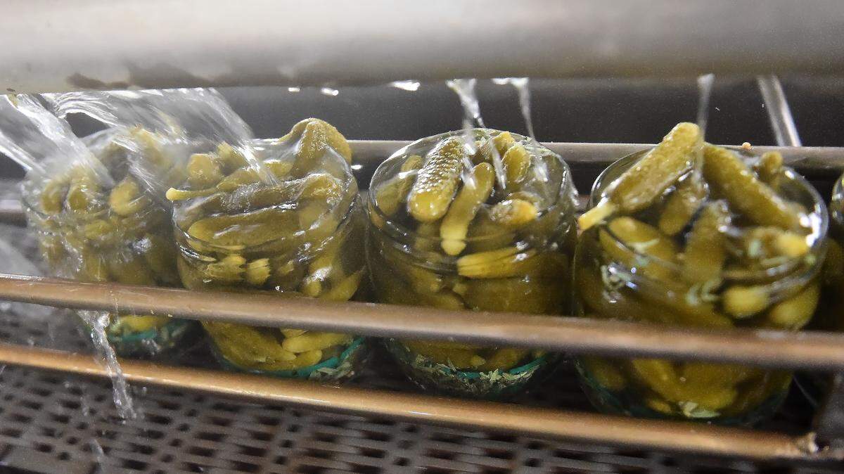 Pickles and Gut Health: Are Fermented Pickles Good for You