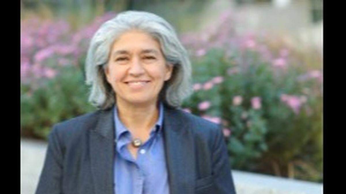 Lisa Grafstein, candidate for NC Senate District 13
