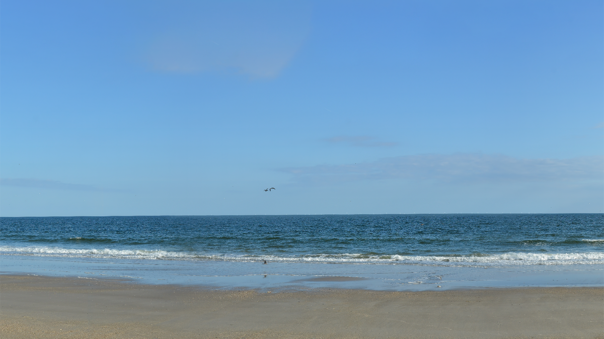 The Southeastern Wind Coalition commissioned visualizations of what the Wilmington East Wind Energy Area could look like, including this one showing the view from Oak Island on a hazy day. The turbines are on the horizon -- white dots under and to the right of the bird that you may be able to see by enlarging the photo.