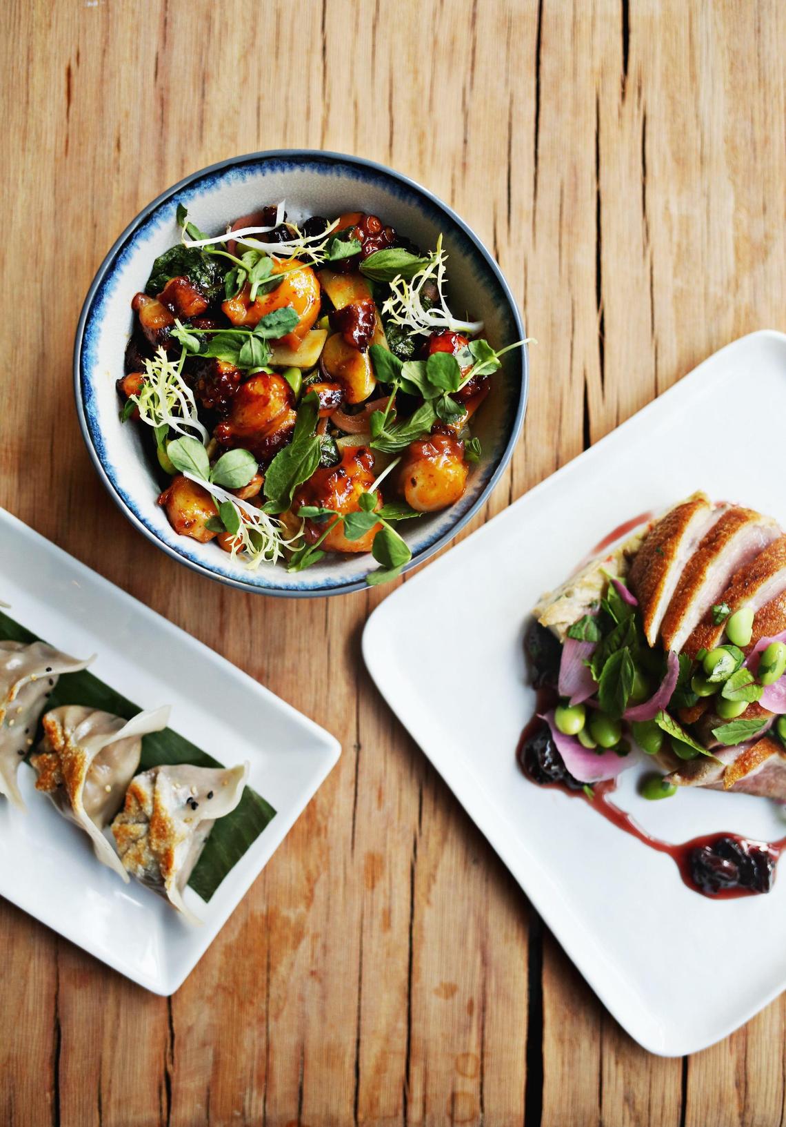 From left, Pork & Chive Dumplings, Sweet and Sour Octopus Bowl and 5 Spice Duck at MOFU Shoppe in downtown Raleigh.