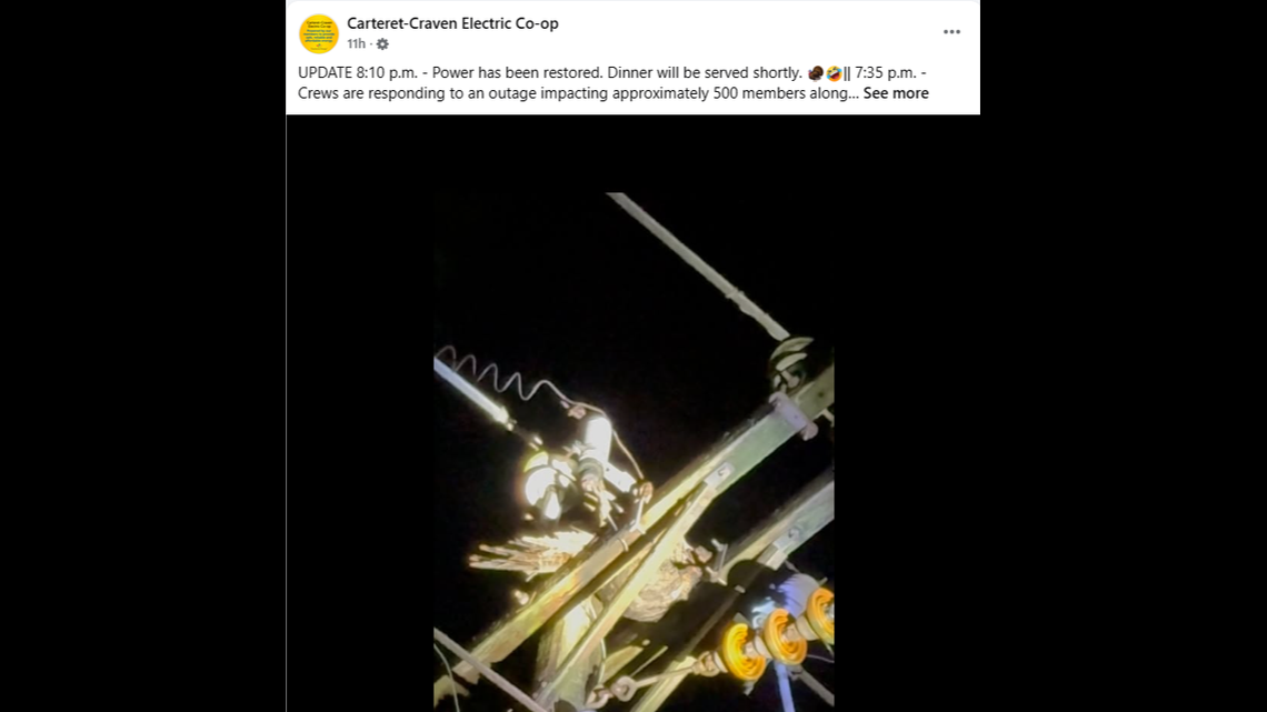 A turkey found its way into the guts of a power pole and caused a power outage in eastern North Carolina, officials say.