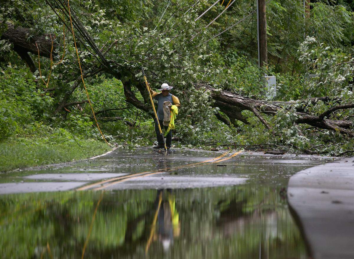 Crews work to clear a downed tree on Umstead Drive as Tropical Storm Debby passes through the Triangle on Thursday, Aug. 8, 2024, in Chapel Hill, N.C.