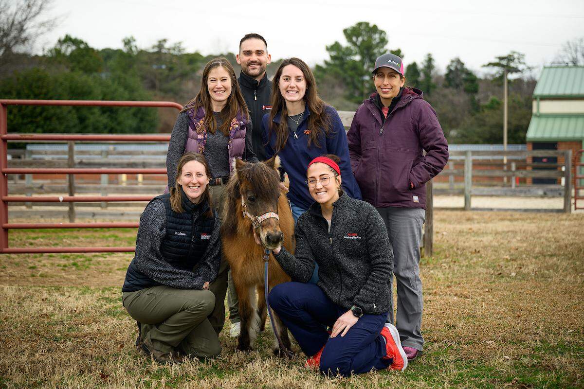 Mocha with the equine care team at NC State Veterinary Hospital