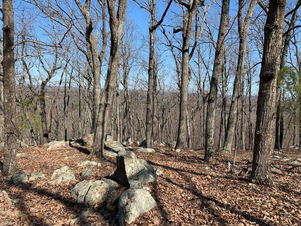 The view from top of Pine Hill in Cane Creek Mountains Natural Area in southwest Alamance County.