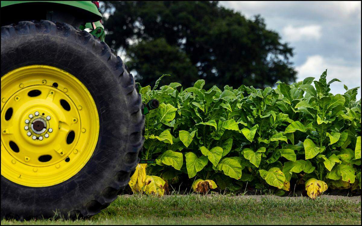 John Deere, a farming equipment manufacturer with a facility in Kernersville, North Carolina, has said that it has faced margin pressures from tariffs. 
