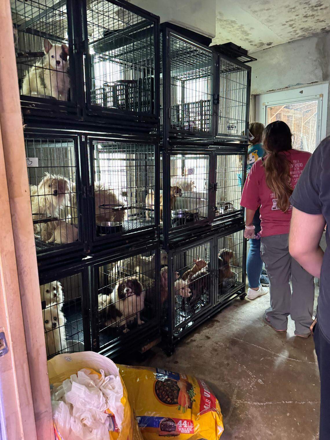 SPCA of Wake County took around a dozen dogs and puppies and is ensuring the animals receive medical care before placing them for adoption.