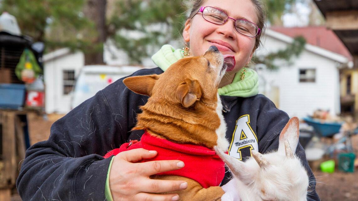 Going stir crazy over Christmas break? Visit ‘Santa Goat’ in Wake Forest.