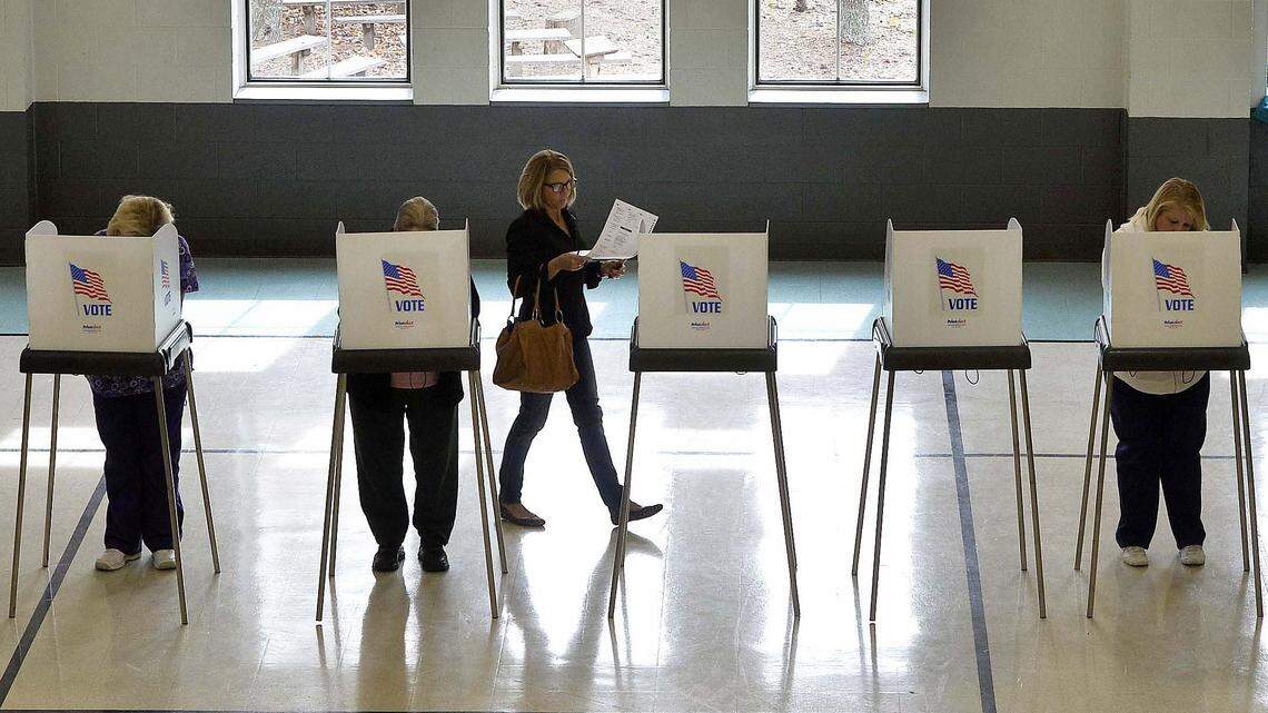 Primary voter guide: Here’s what Lexington, Richland voters need to know