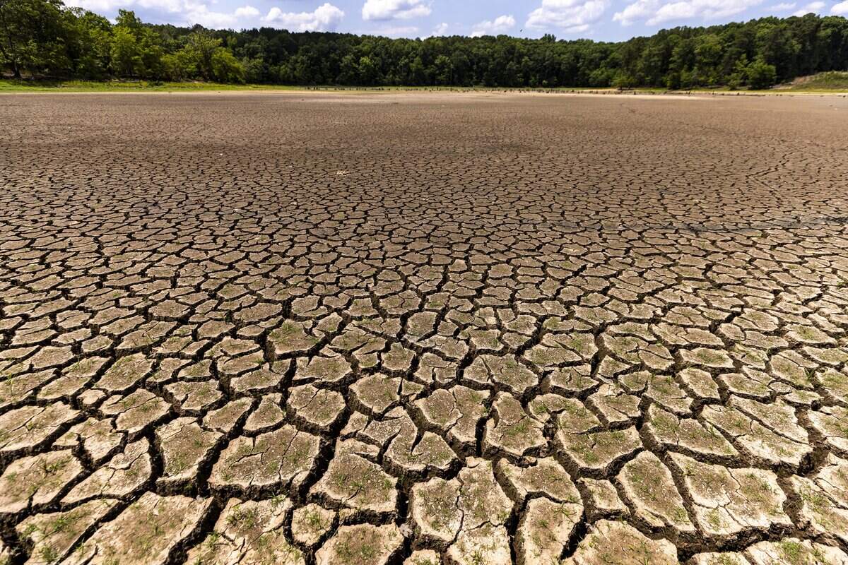 Cracked mud covers acres of what is normally the lake bottom at Falls Lake in Durham on Thursday, June 25, 2026. Raleigh is 18.59 inches below its average rainfall since August 2025, and Falls Lake, Raleigh's primary water source, is 5 feet below its target level. As of mid-June, Durham was about 10 to 12 inches below normal rainfall since the start of the year.