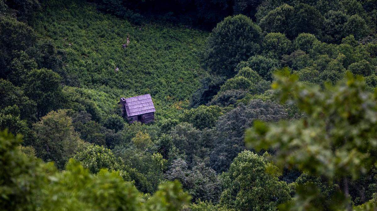 Cruising Across Carolina: Waterfalls, coasters and other high spots in Northern mountains