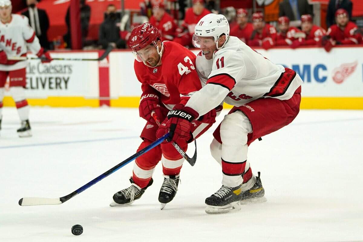 Detroit Red Wings left wing Darren Helm (43) and Carolina Hurricanes center Jordan Staal (11) battle for the puck in the third period of an NHL hockey game Tuesday, March 16, 2021, in Detroit. (AP Photo/Paul Sancya)
