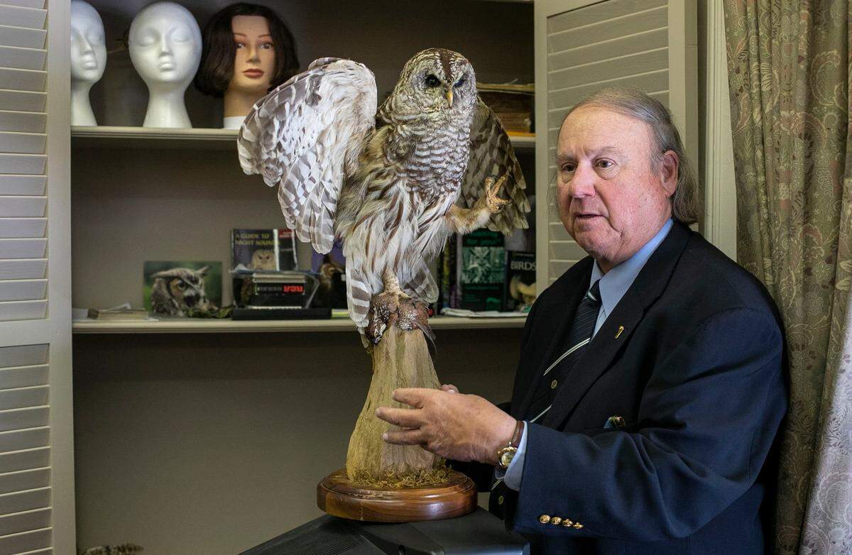 Durham attorney Larry Pollard uses a model of an owl, on loan from the NC Wildlife Commission, to describe The Owl Theory during an interview in his office on Wednesday, April 27, 2022 in Durham, N.C. Pollard believes an attack by a bird of prey caused the death of Kathleen Peterson in 2001.