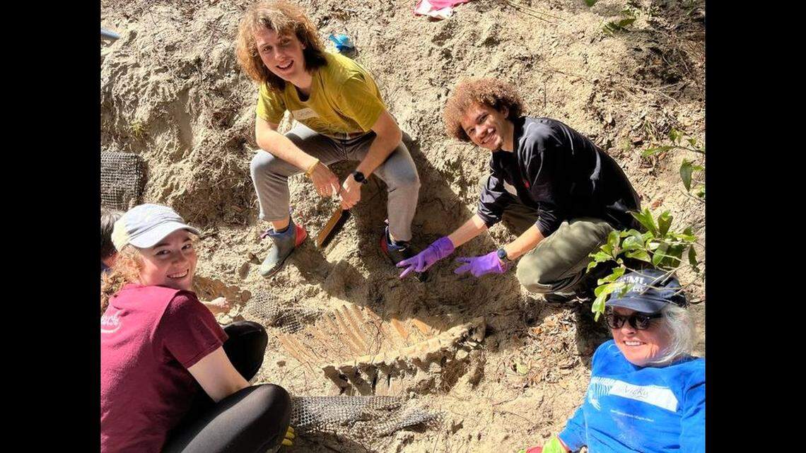 On Feb. 10, a team of diggers carefully removed the bones, which will be cleaned and preserved.