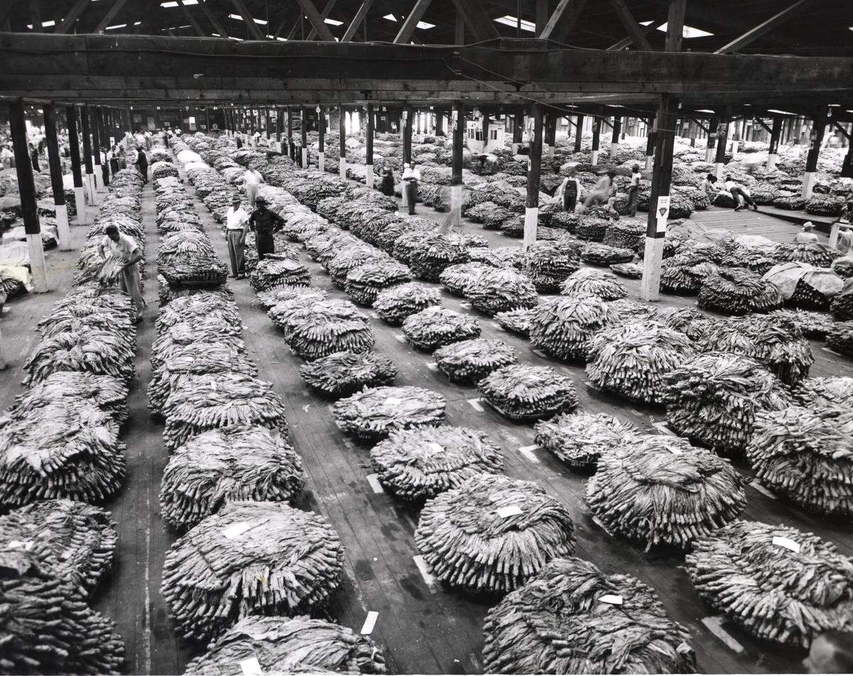 File photo of first day of sales at the Roycroft Tobacco Warehouse on Rigsbee Ave. Durham.