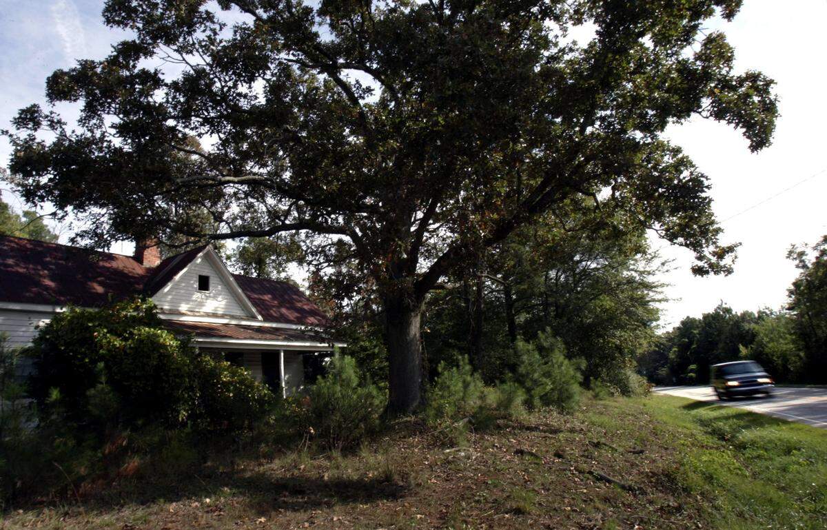 A large oak tree, photographed in 2006, sits in front of a farm house on Tyron Road built around 1850.