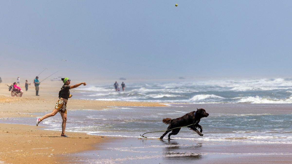 A vacationer tosses a ball for her dog in the surf along the beach at the Outer Banks. Dogs are welcome at some beaches only at certain times, and it pays to check local ordinances governing all kinds of activities when choosing where to go this summer.