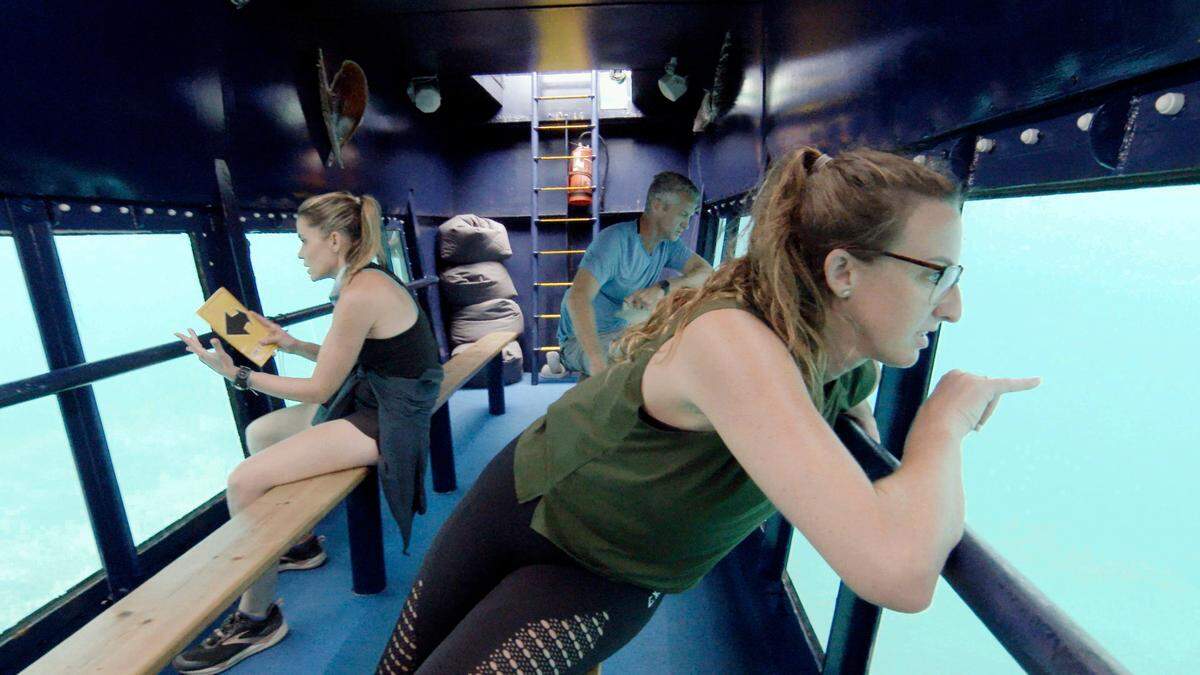 Kim Holderness, Penn Holderness and Cayla Platt on the Feb. 9, 2022, episode of “The Amazing Race.”