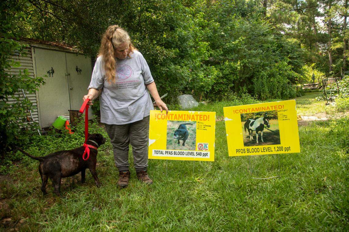 The Hardison Amendment has been invoked in an effort to delay proposed state PFAS rules in groundwater and drinking water. Here, Debra Stewart shows signs showing her dog, Missy, and horse, Whisper, with their PFAS levels.